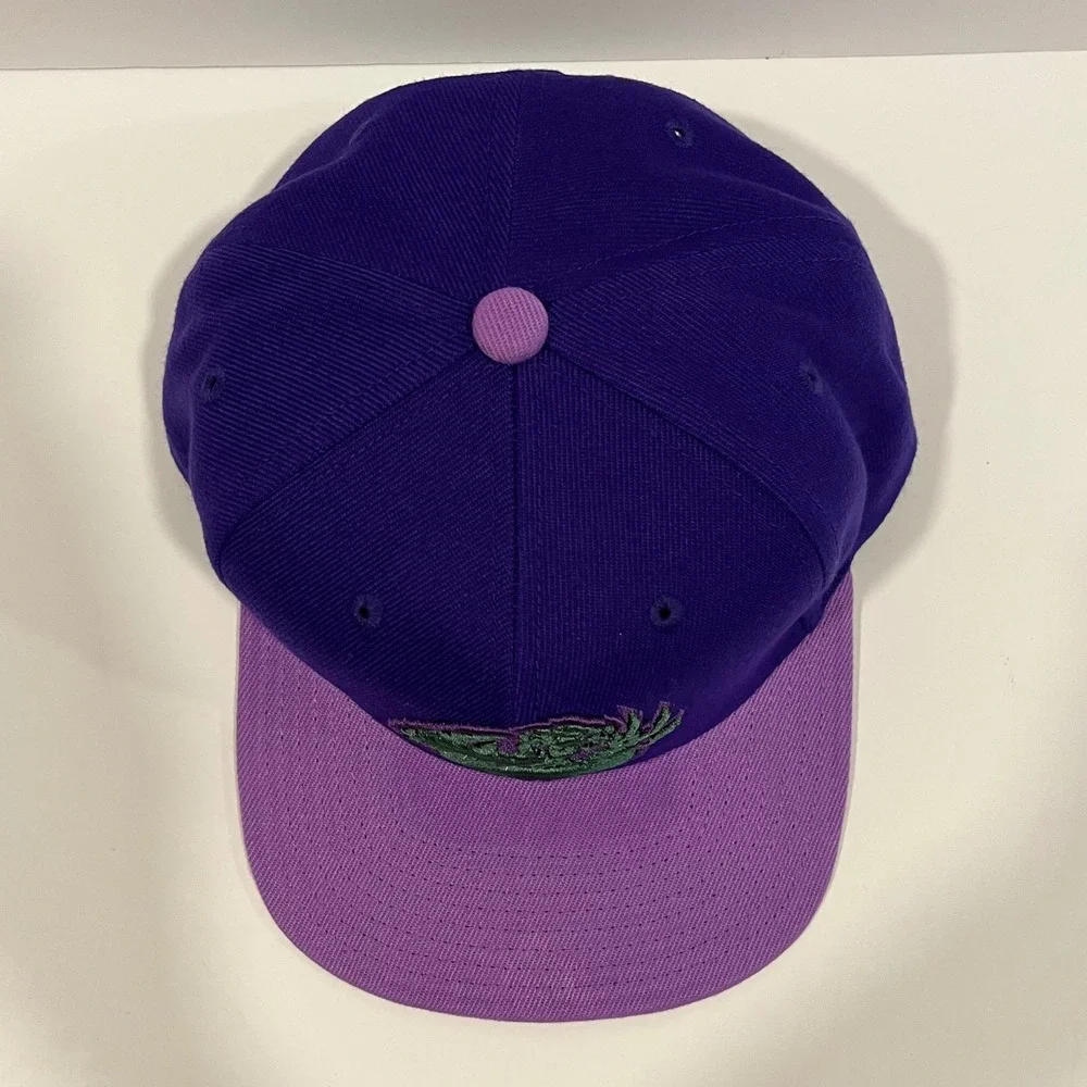 Vancouver Grizzlies HWC Mitchell & Ness PURPLE HAZE Snapback Hat